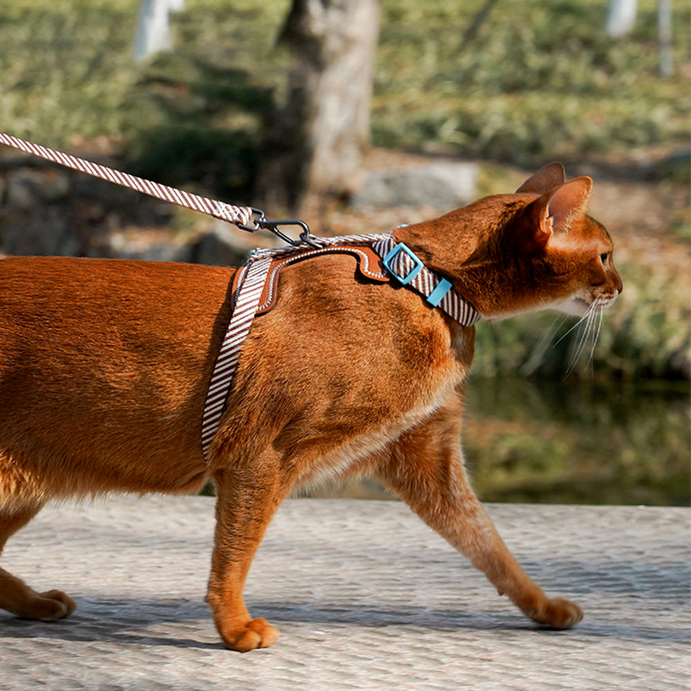 ZalloPaws Leather-Trimmed Anti-Escape Dog Harness & Leash Set