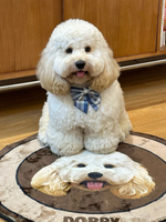 【Custom Pet Rug】Chocolate