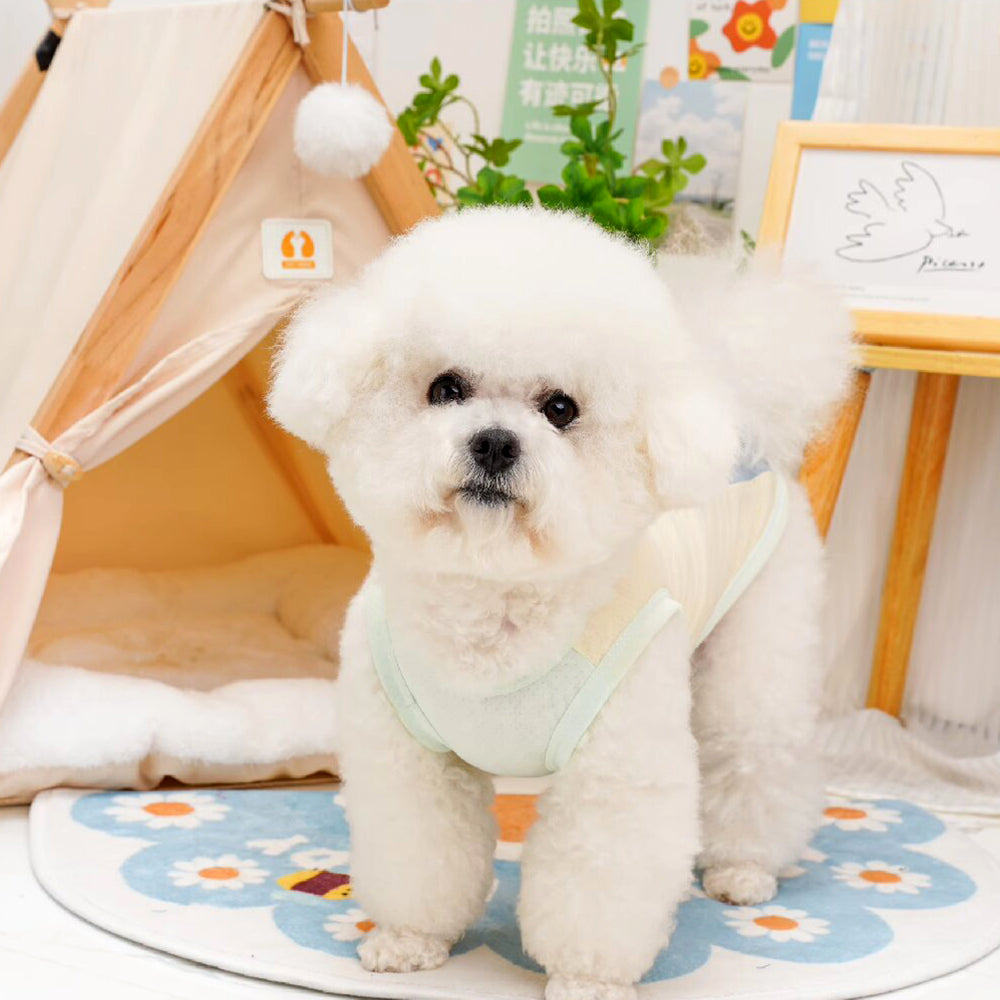 Summer Cooling Ice Silk Dog Vest