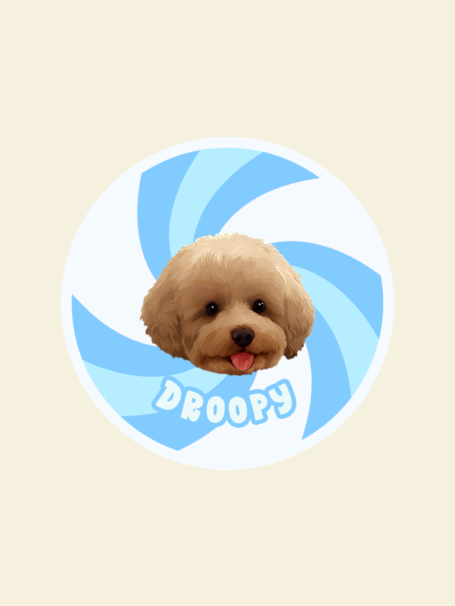 ZalloPaws Custom Pet Rug – Eddies