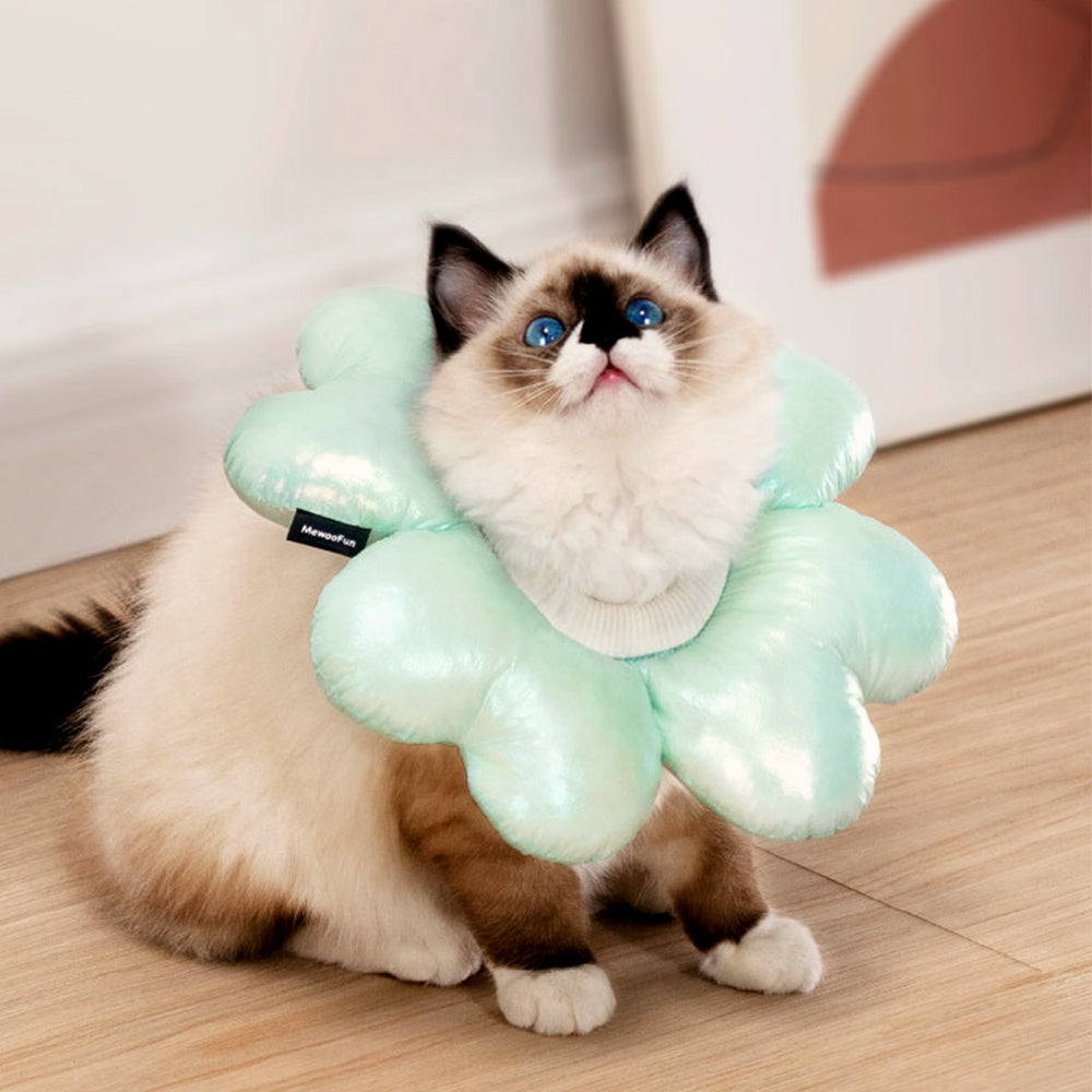 ZalloPaws Lucky Clover Pet Recovery Collar