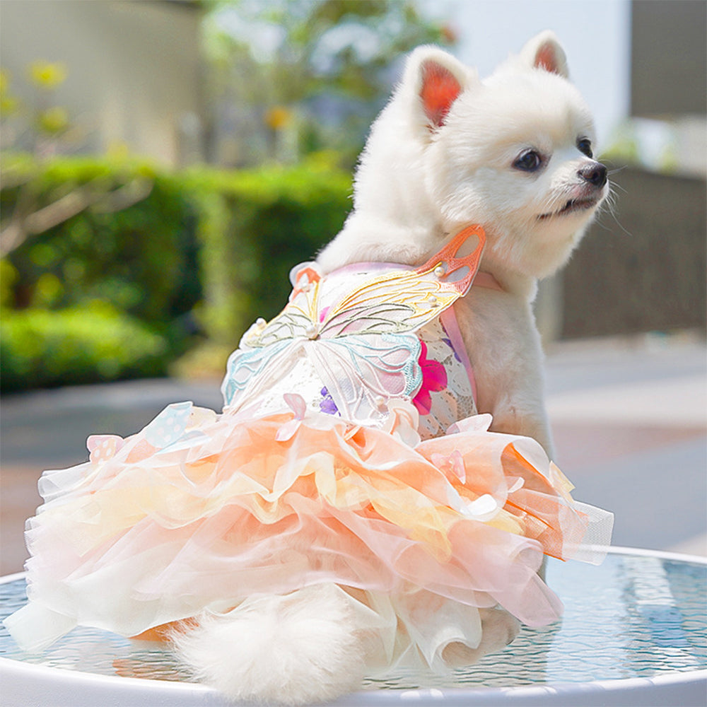 Butterfly Princess Pet Dress