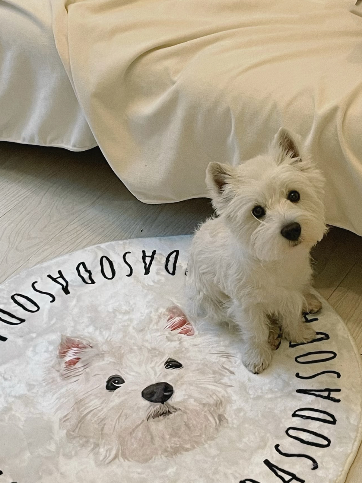 【Custom Pet Rug】Black Sesame