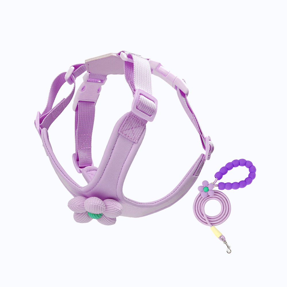 Dopamine Sunflower Pet Harness Set