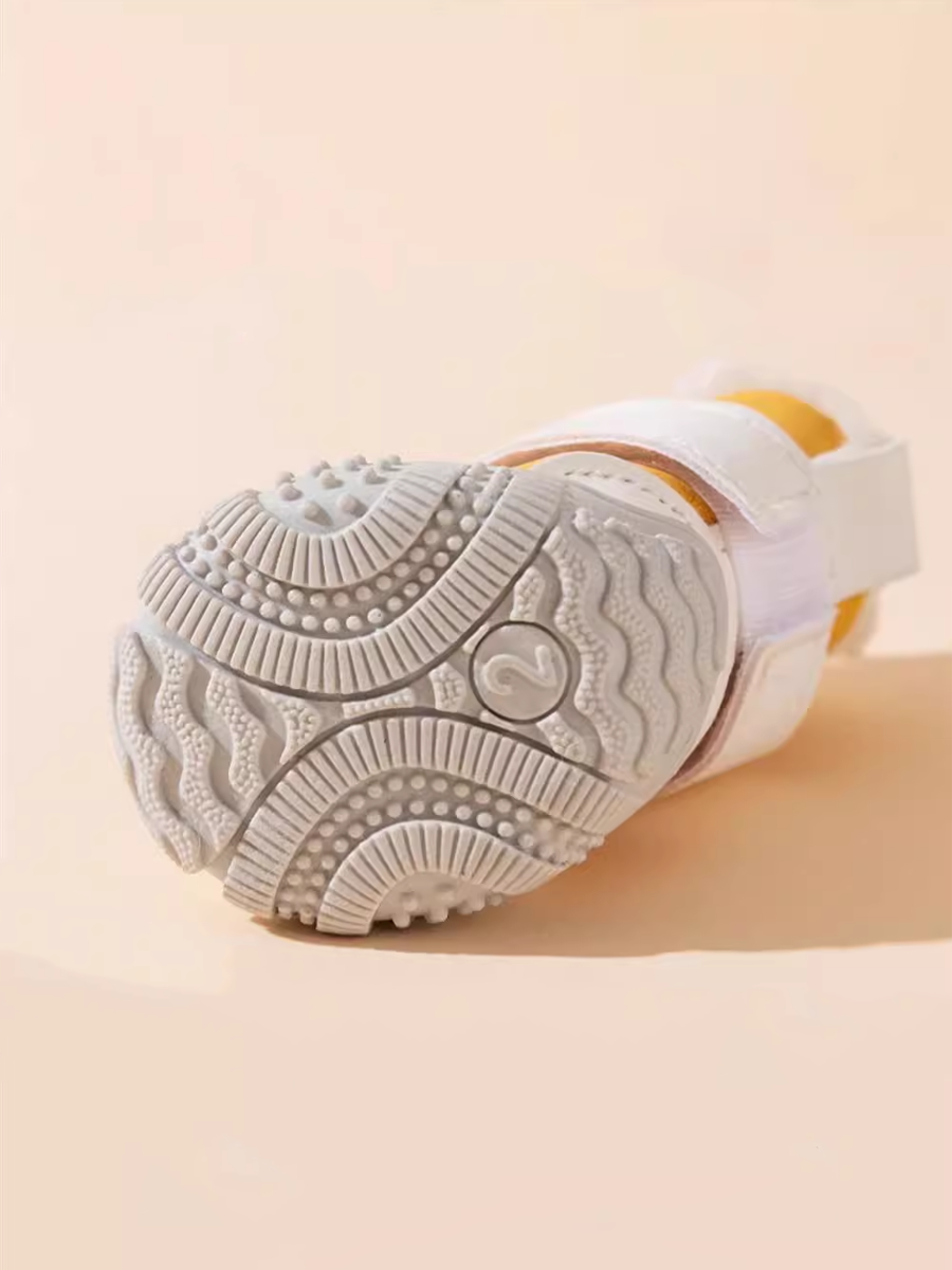 Big Eyes Pet Shoes