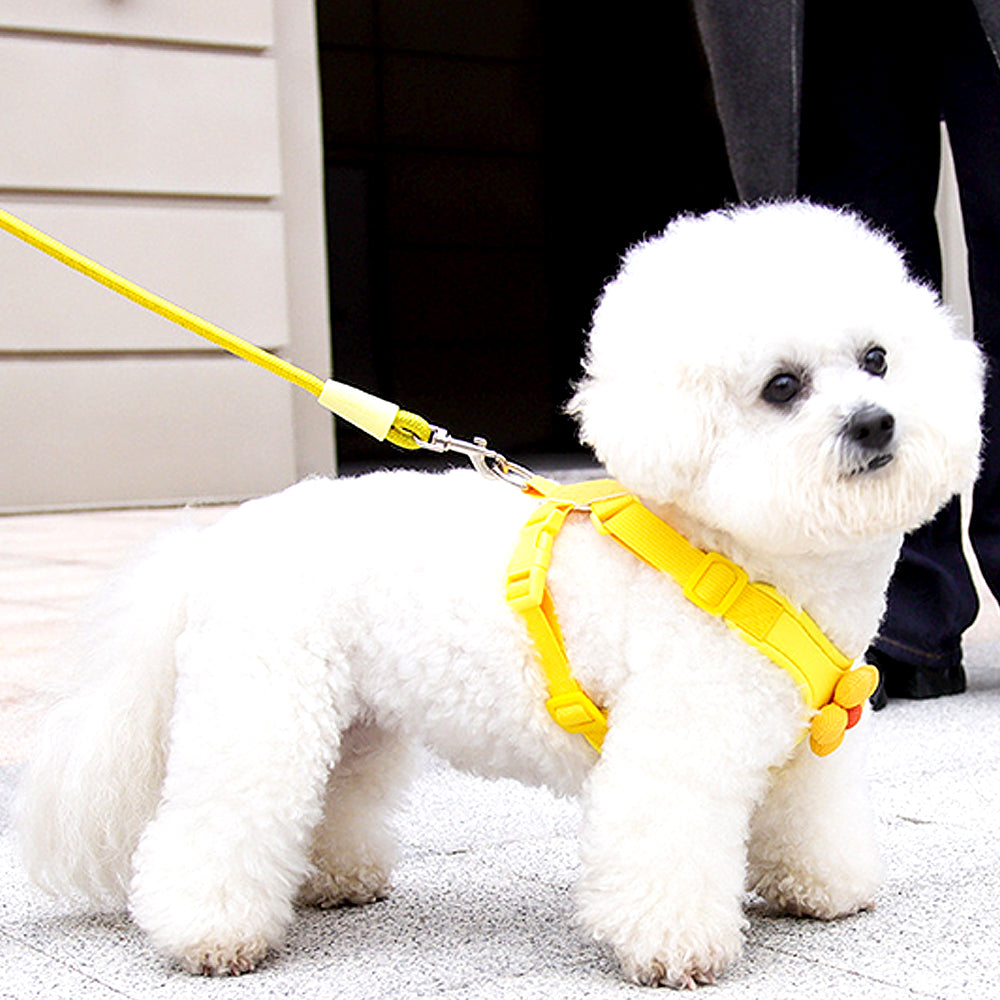 Dopamine Sunflower Pet Harness Set