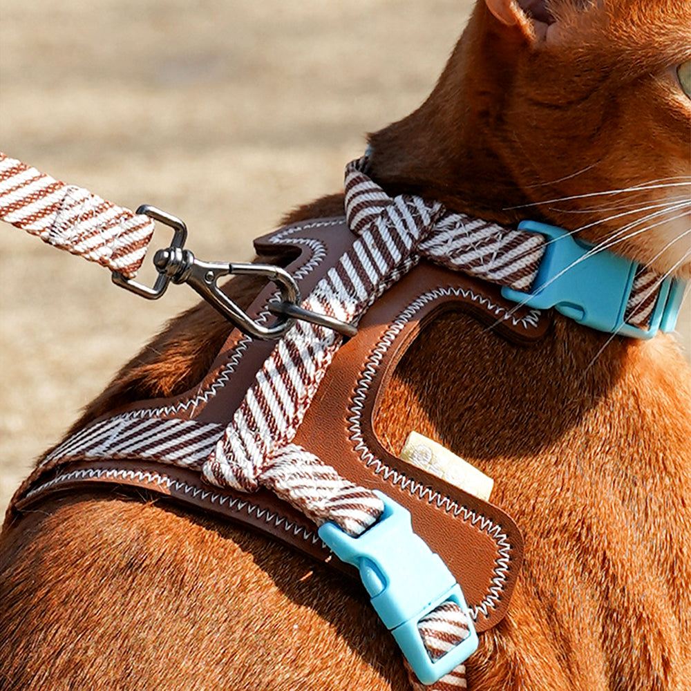 ZalloPaws Leather-Trimmed Anti-Escape Dog Harness & Leash Set