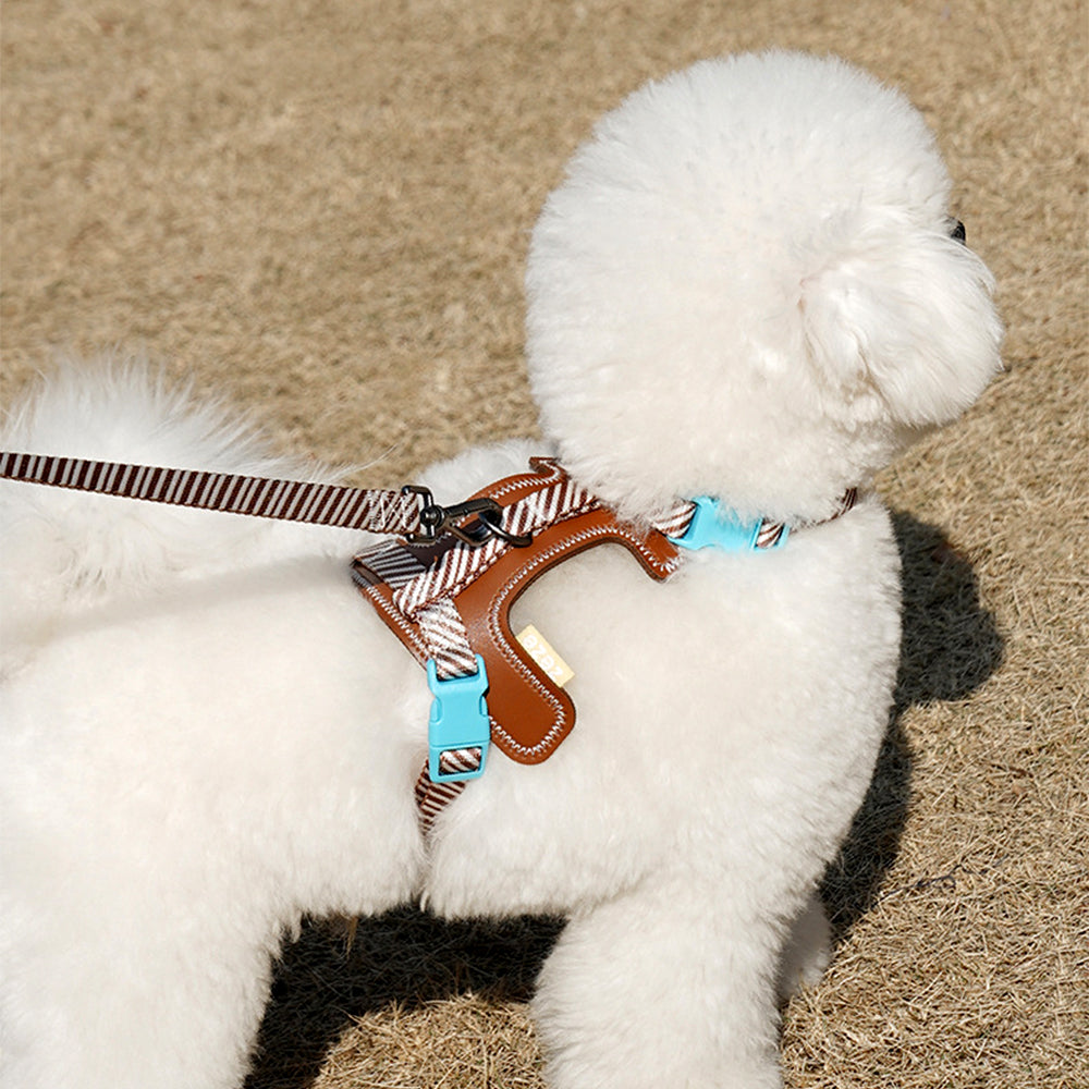 ZalloPaws Leather-Trimmed Anti-Escape Dog Harness & Leash Set
