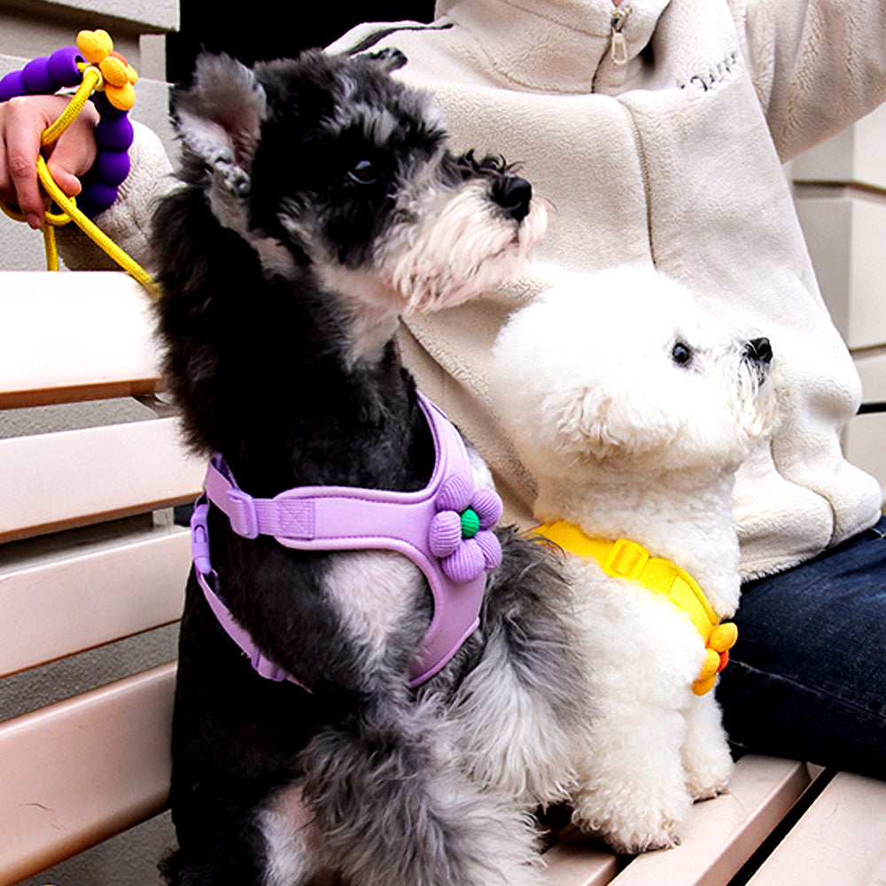 Dopamine Sunflower Pet Harness Set