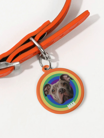 【Custom Pet ID Tag】Rainbow Paws