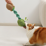 Broccoli & Mushroom Sounding Pet Toys