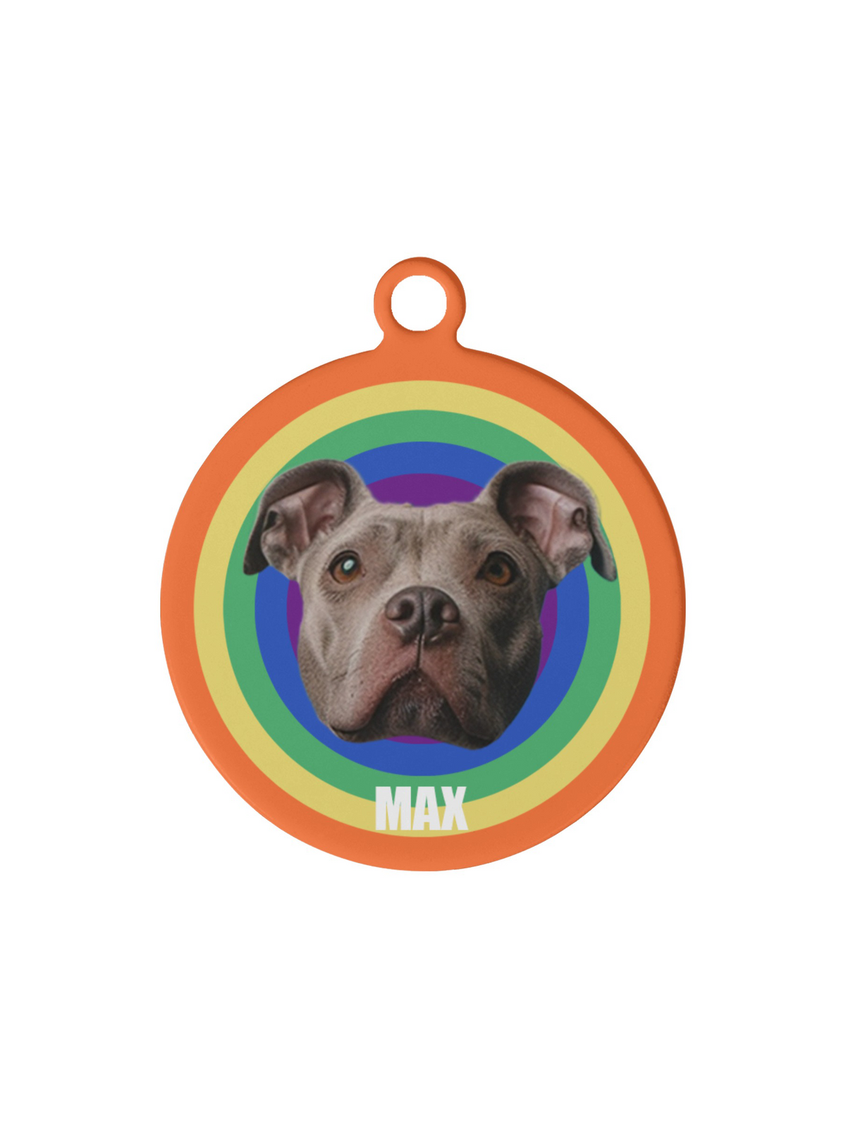 【Custom Pet ID Tag】Rainbow Paws