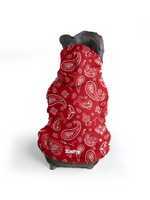 【Pet Hoodies】Paisley Whimsy