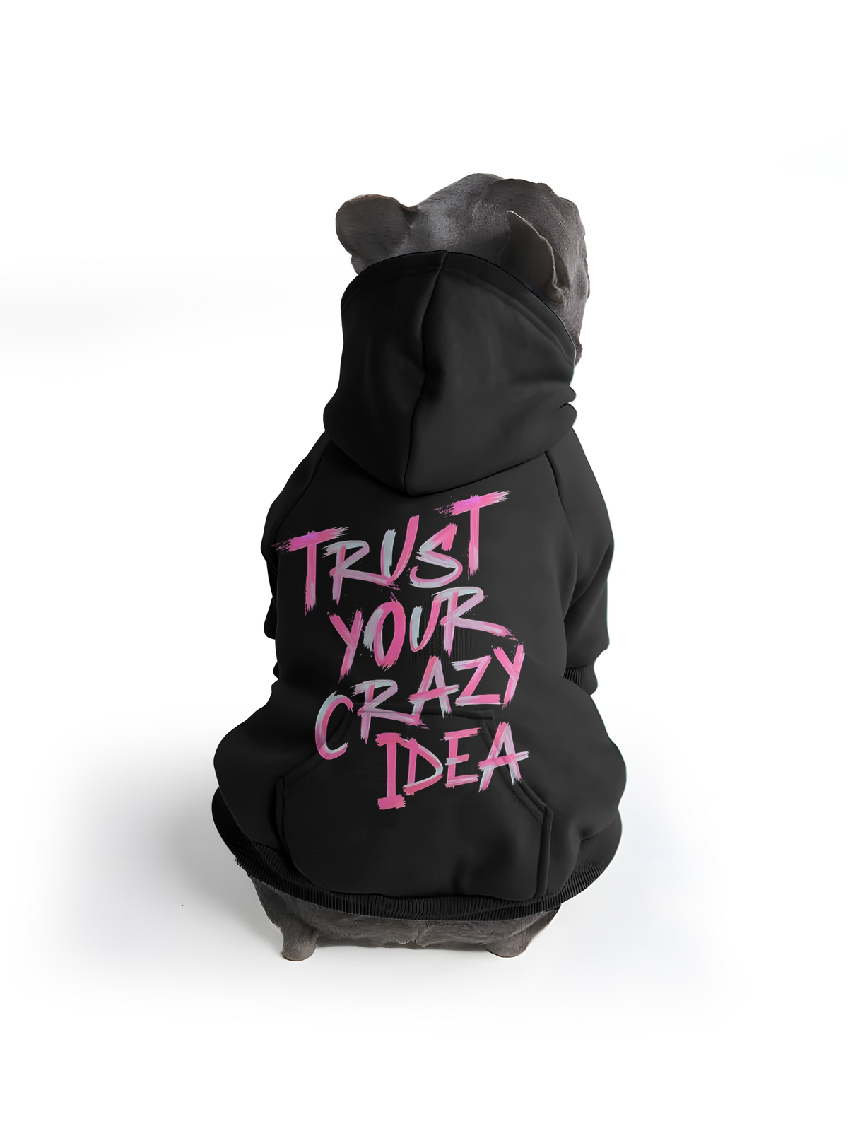 【Pet Hoodies】Bold Vision