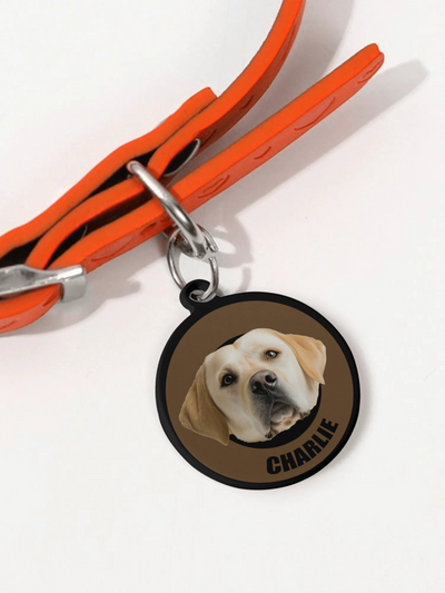 【Custom Pet ID Tag】Black Coffee