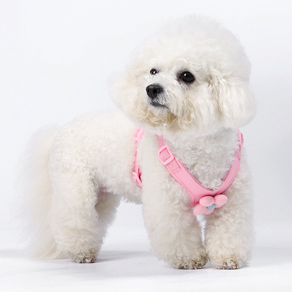 Dopamine Sunflower Pet Harness Set