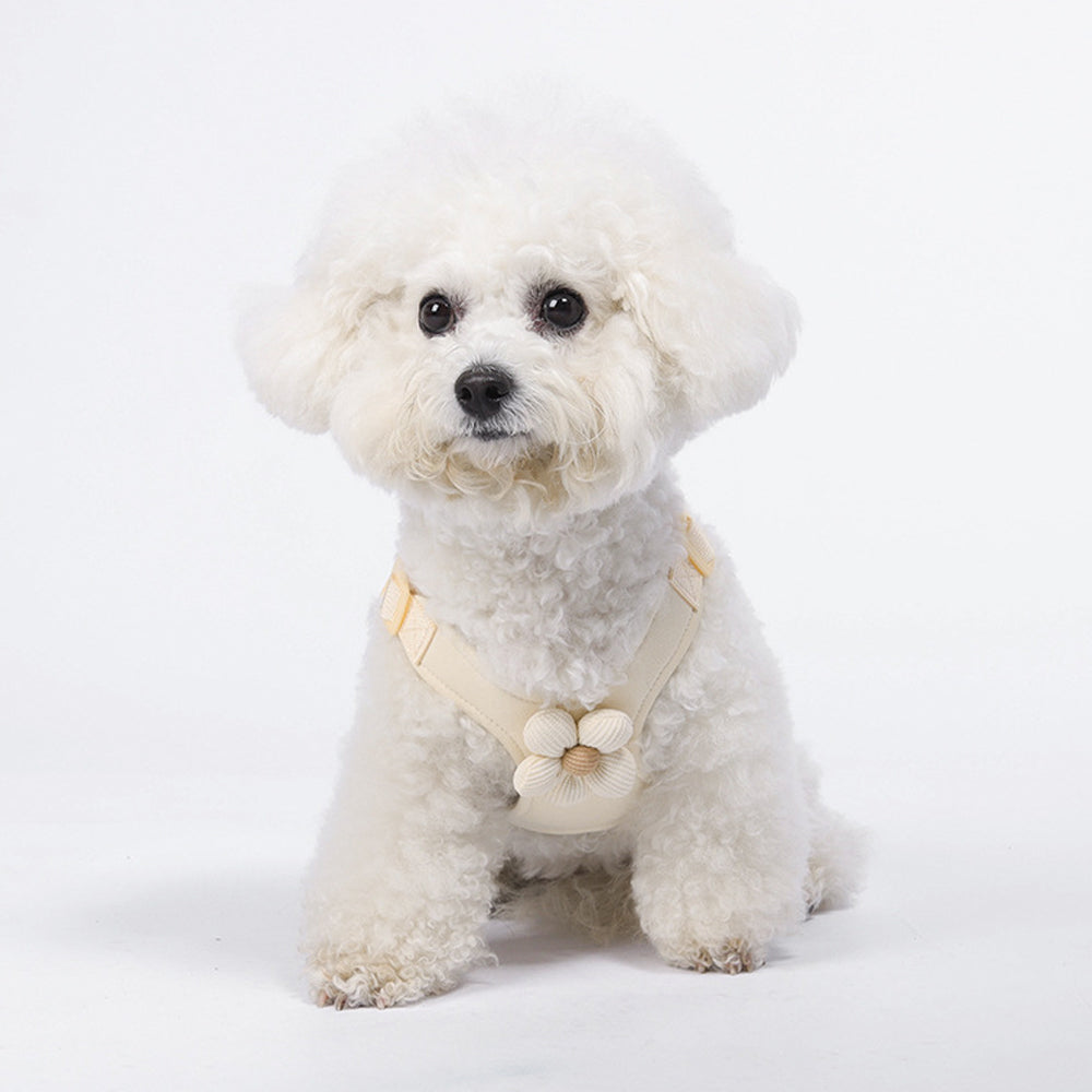 Dopamine Sunflower Pet Harness Set