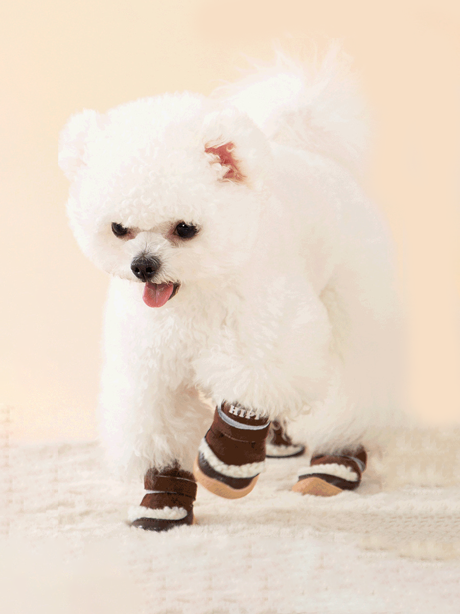 Windproof Lightweight Pet Dog Shoes