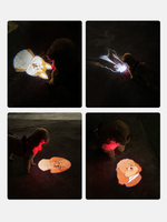 Pet Social Luminous Collar Light