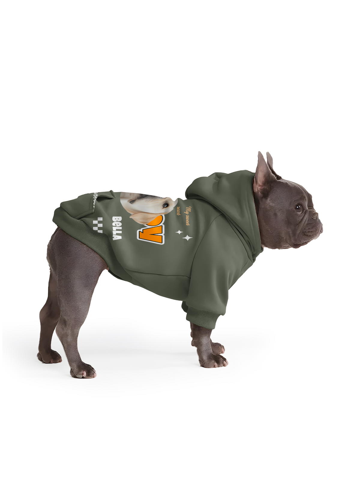 【Pet Hoodies】Cute Puppy