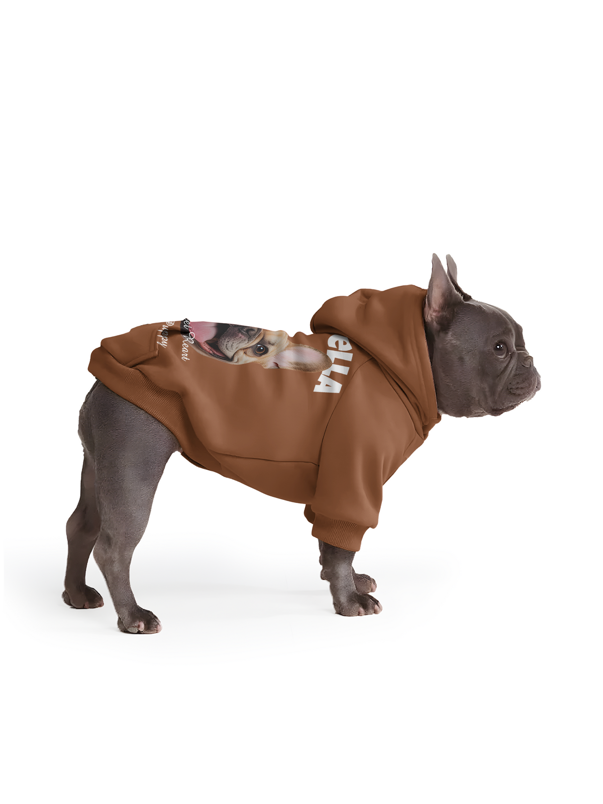 【Pet Hoodies】My Sweet