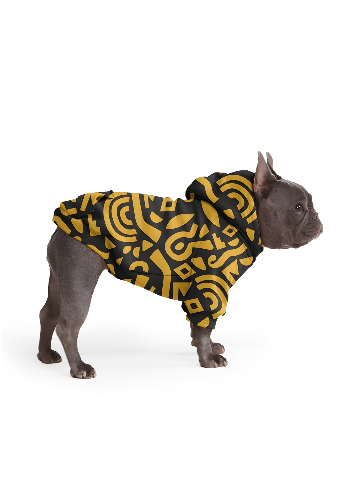 【Pet Hoodies】Golden Rhythm