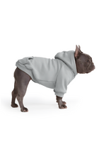 【Pet Hoodies】Grey