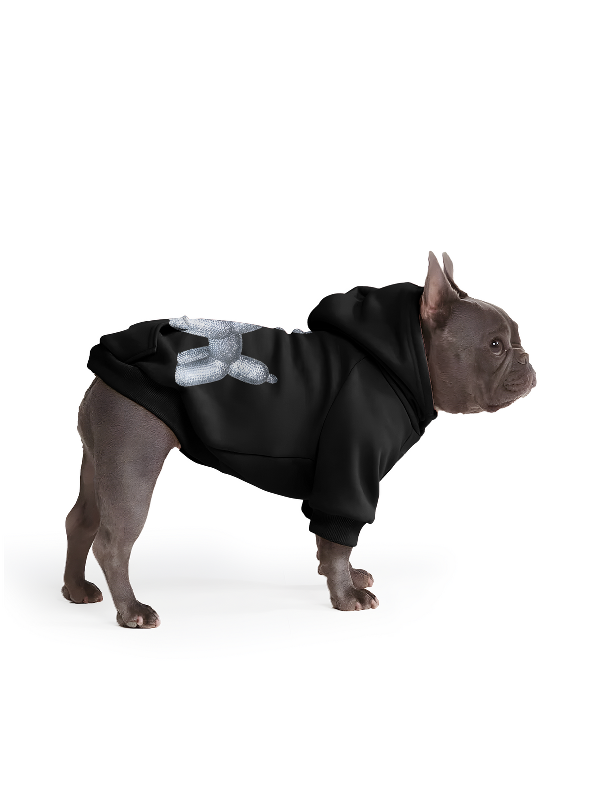 【Pet Hoodies】Reflective Bubble Dog