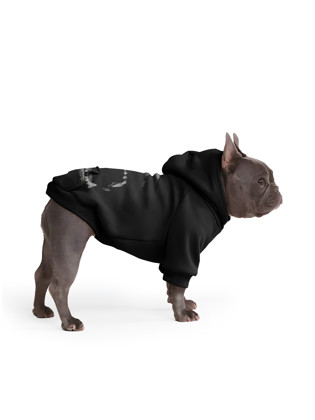 【Pet Hoodies】Midnight Roar