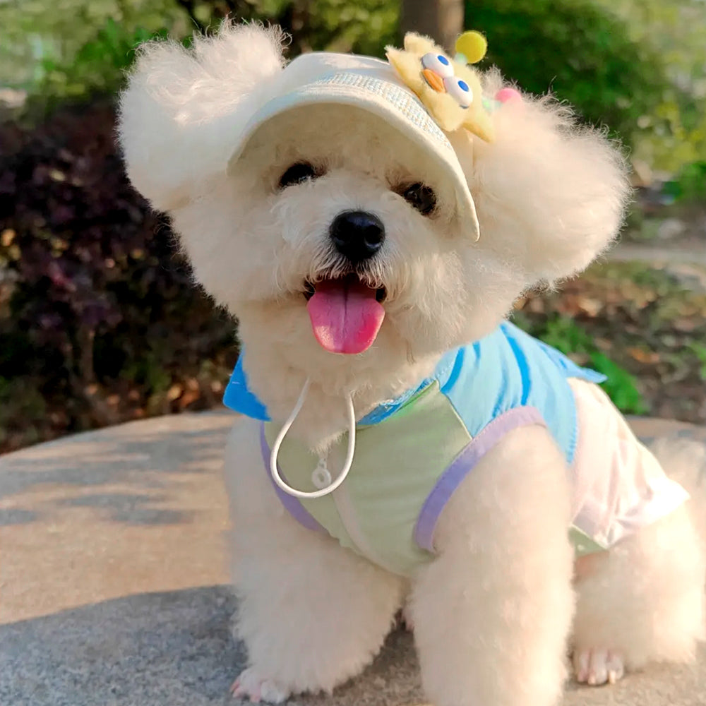 Lightweight Outdoor Pet Sunscreen Jacket