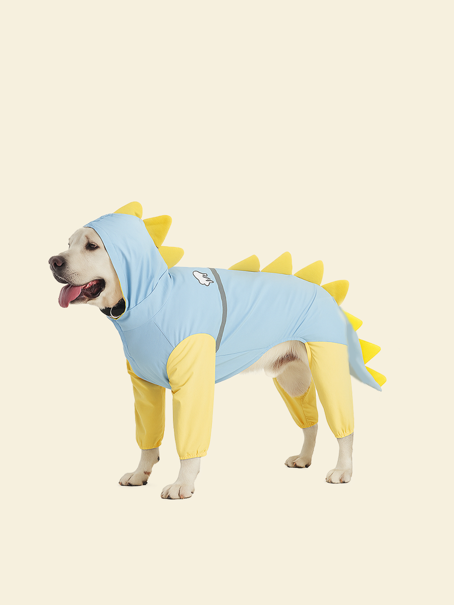 Dinosaur Large Dog Raincoat