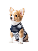 【Pet Vest】Coastal Stripe